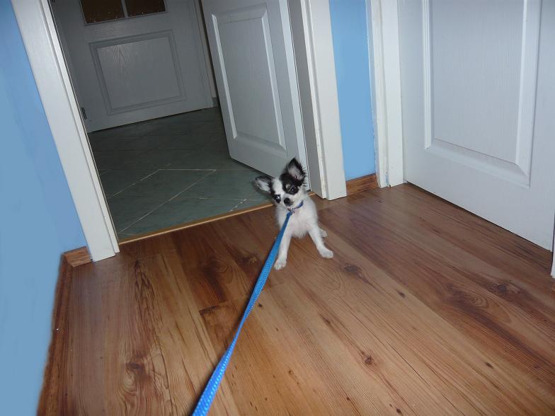 4.JPG